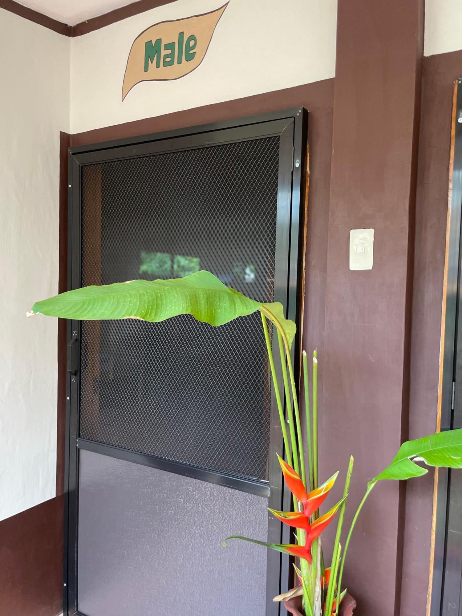 Chelle'S Guesthouse And Backpackers Siquijor Exterior photo