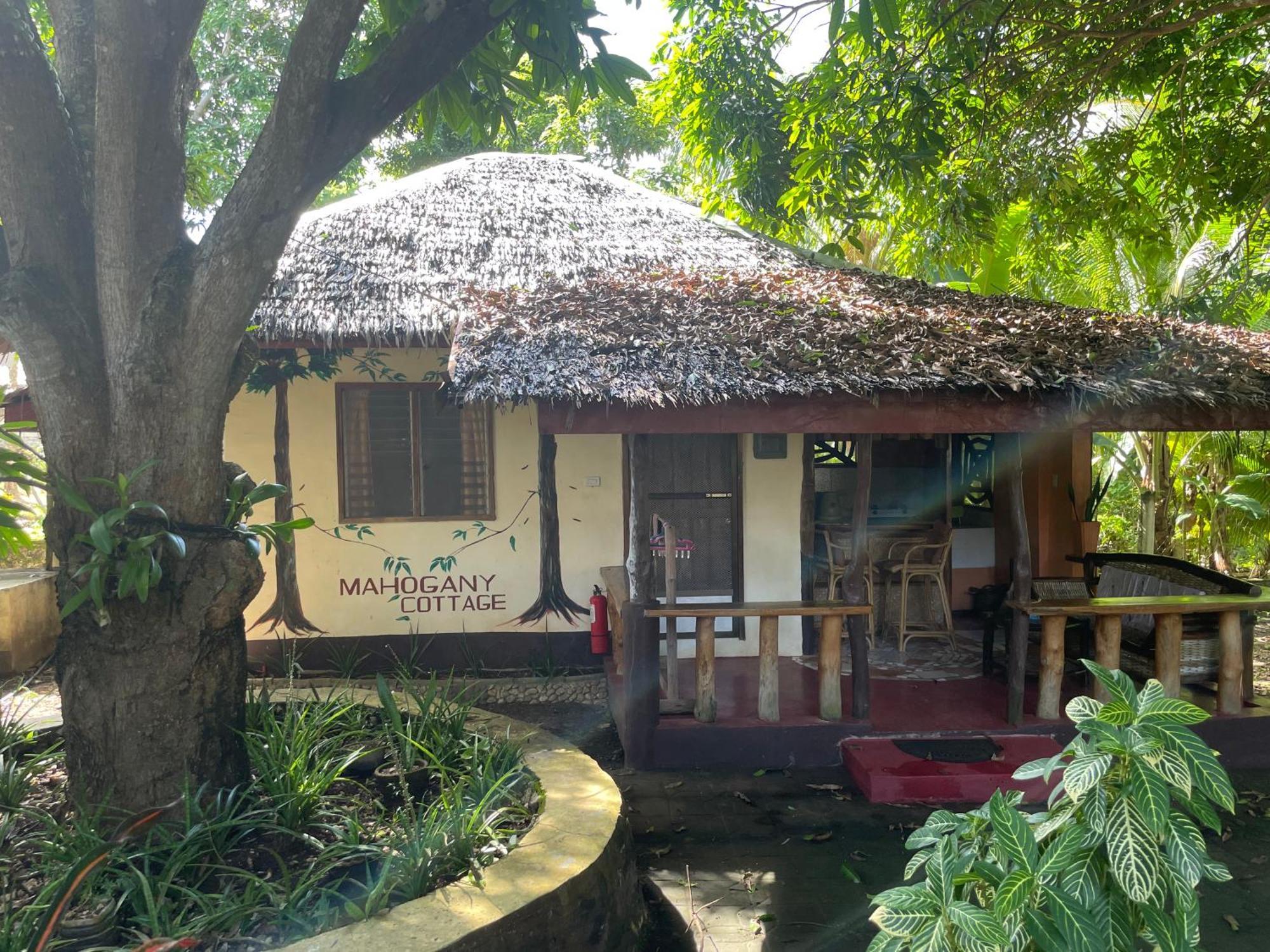 Chelle'S Guesthouse And Backpackers Siquijor Exterior photo